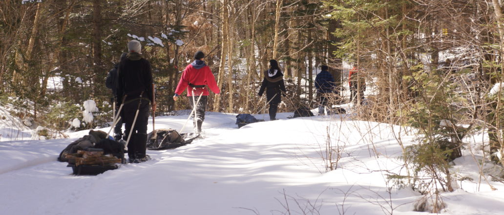 people walking through the winter forest