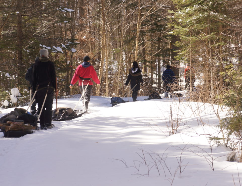 people walking through the winter forest