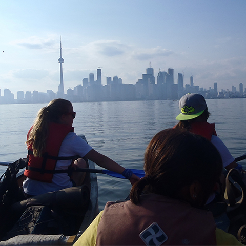 three canoers facing toronto skyline