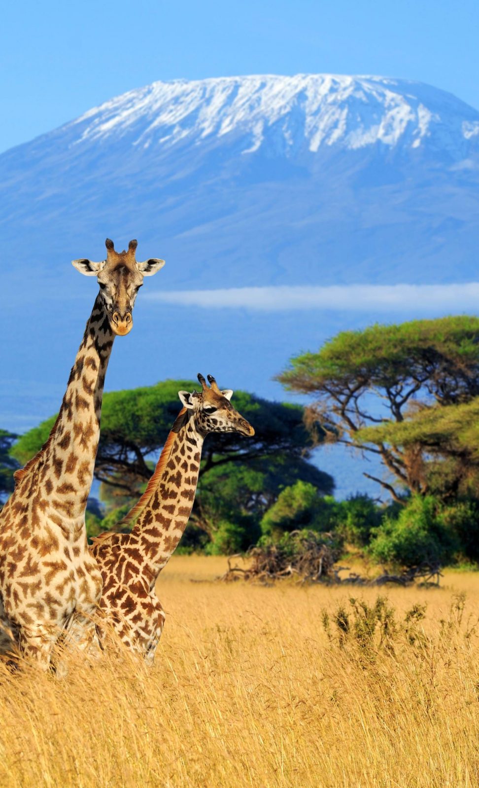 kilimanjaro-reachbeyond
