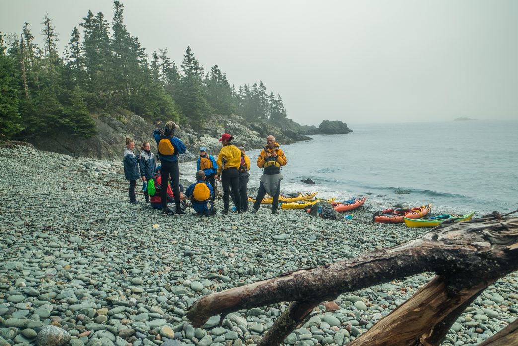 ocean kayaking atlantic fundy 837 1043x698