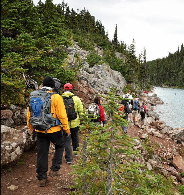Group hiking along a river in a forest