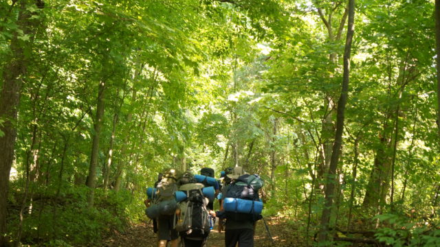 Three backpackers walking along a path under a tree canopy.