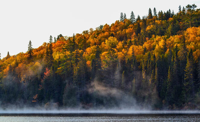 algonquin at sunset