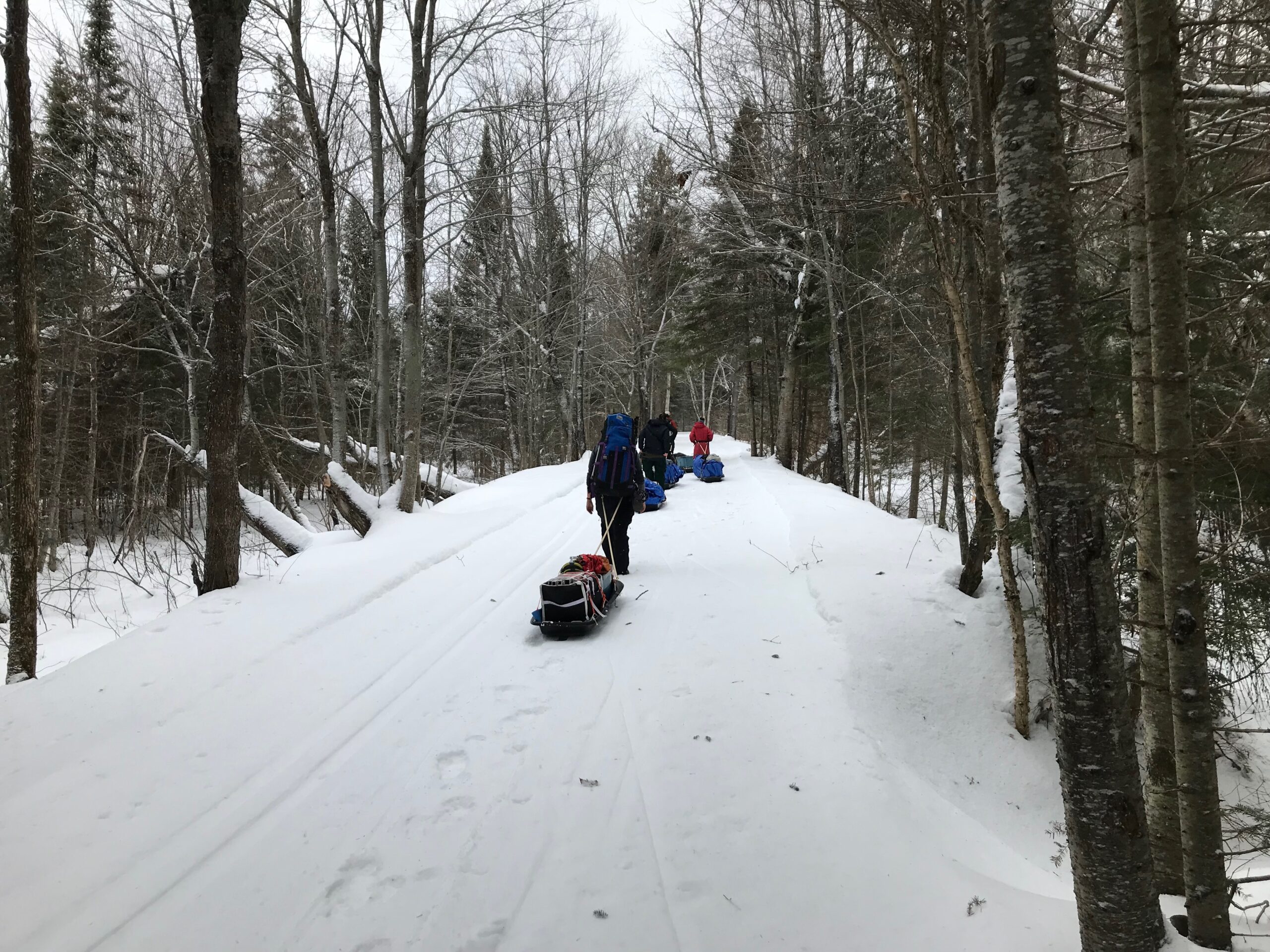 Hikers backpacking through the forest snow
