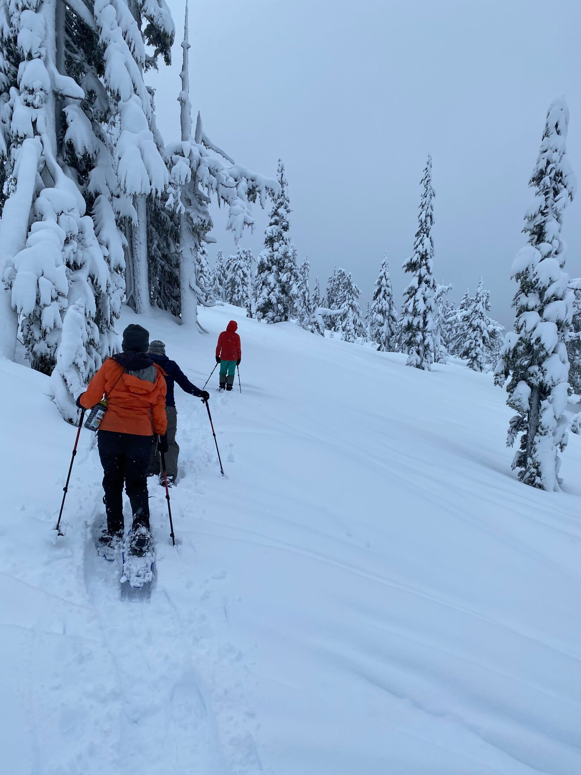 West Coast Instructor Training