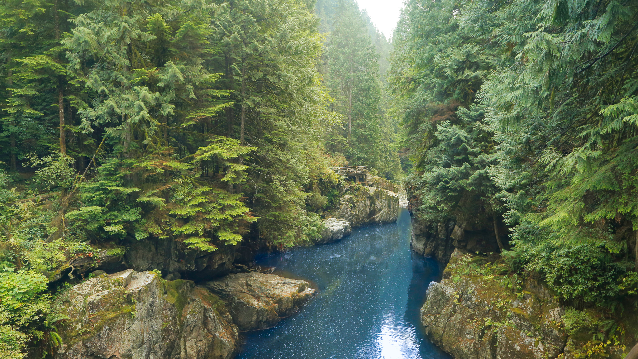 A river running through a forest with rocks and trees on either side.